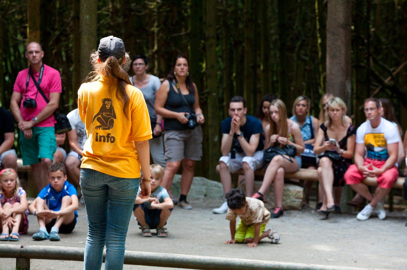 Activités montagnes des singes