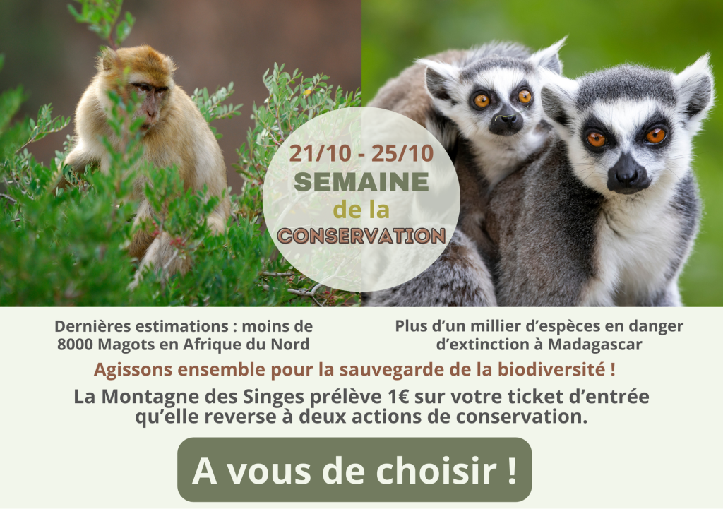 La semaine de la conservation