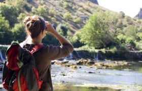 La forêt des singes au cœur du parc naturel régional des causses du quercy.