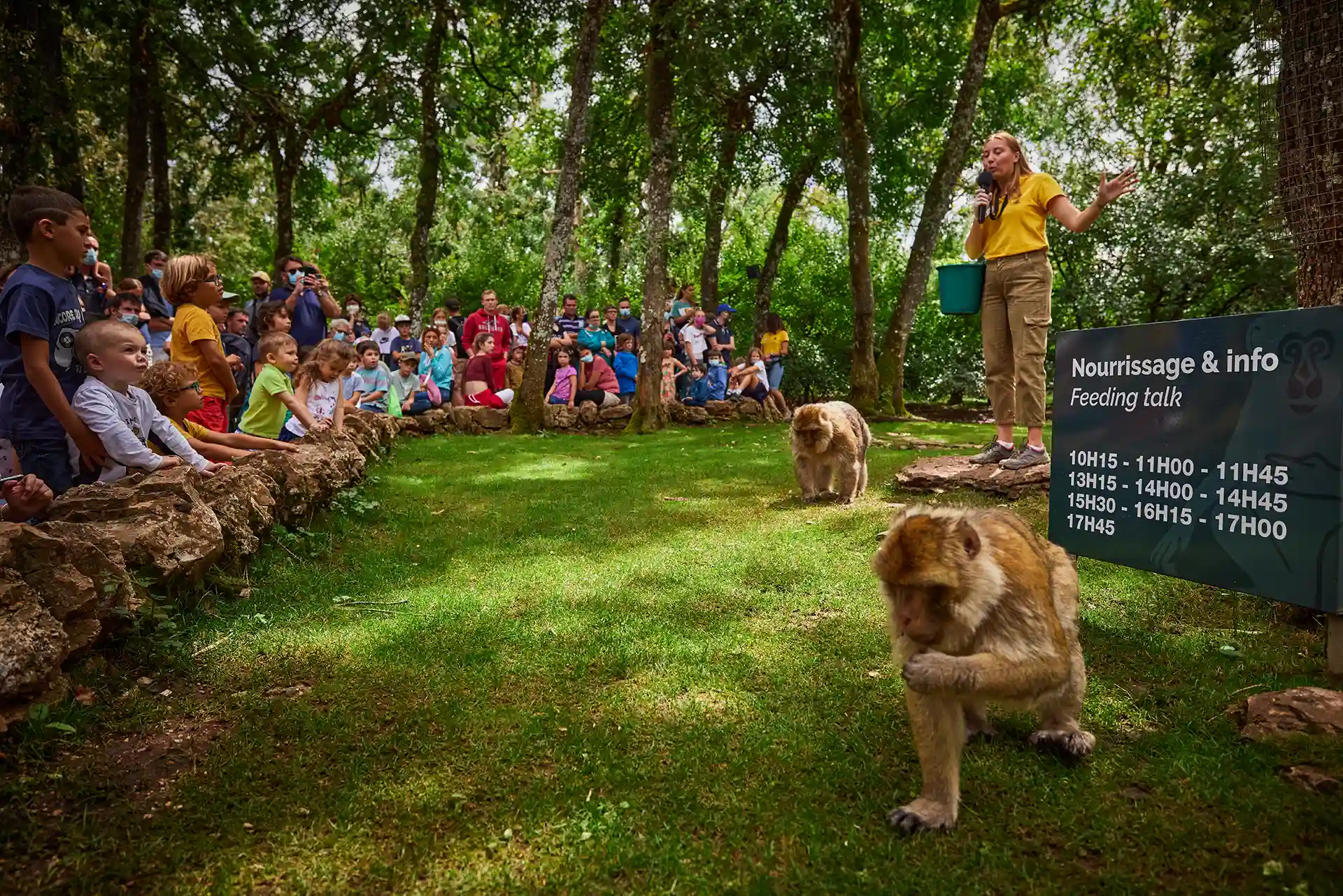 Forêt des Signes - Photos nourrissage singes